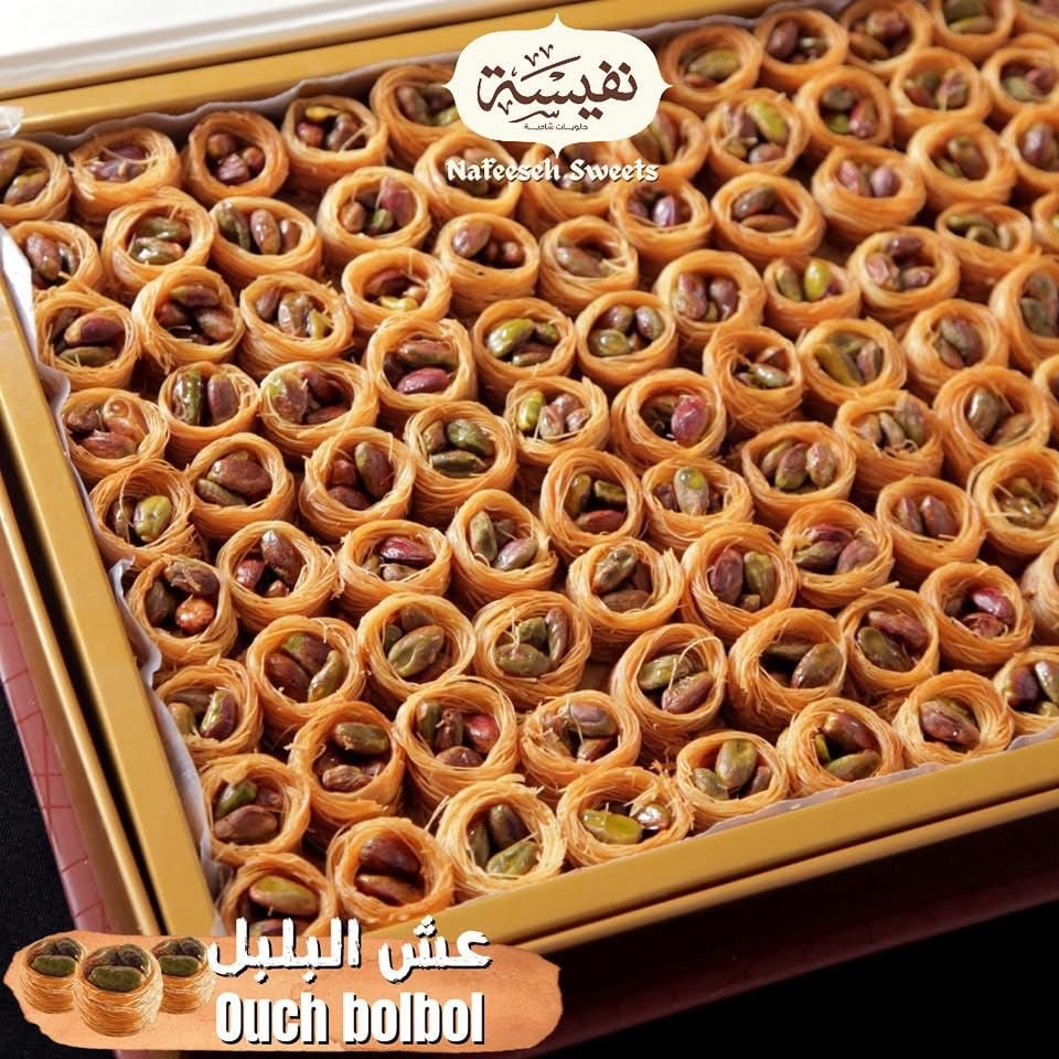 WhatsApp Image 2025-11-12 at 3.35.38 PM (1)