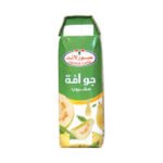 OBOUR JUAVA JUICE 12*1L